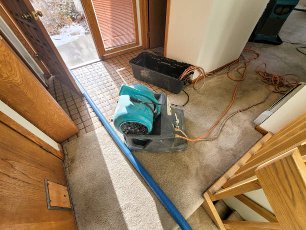 Best Basement water damage restoration  in USA